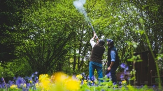 Lady's Wood Shooting School